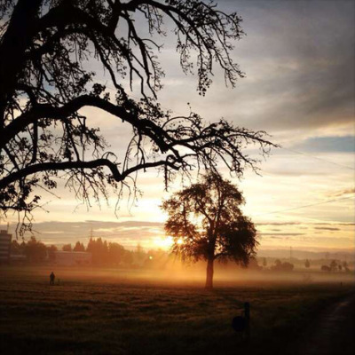 La cura Schopenhauer