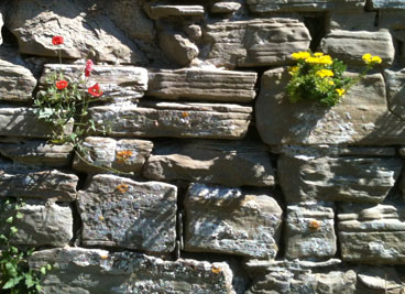 La via dell’artista