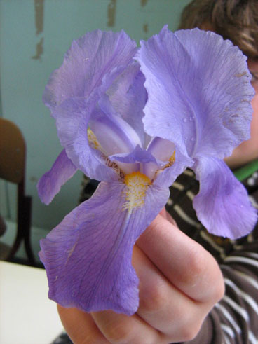 Il counseling agli adolescenti