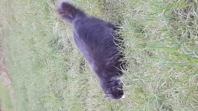 Figli della libertà