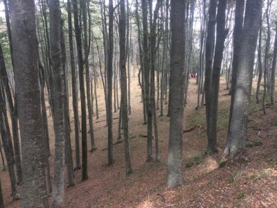 Klimt Experience – Un’esperienza avvolgente