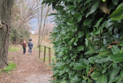 La pedagogia della lumaca