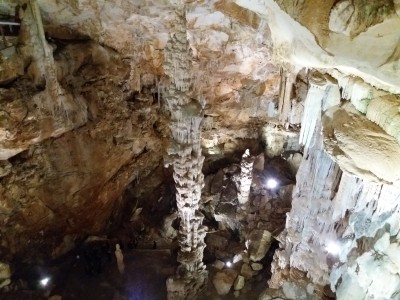 Il Focusing e la saggezza del corpo