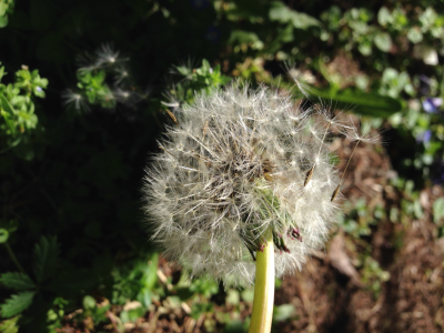 Mi dicevano che ero troppo sensibile