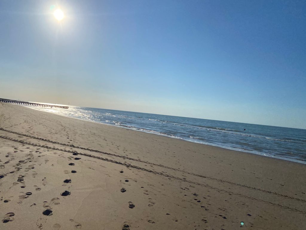 Ci vediamo un giorno di questi